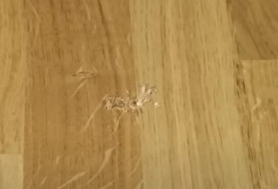 Opravná sada na laminátové podlahy, co obsahuje a jak se používá? - poskozena podlaha poskozena podlaha